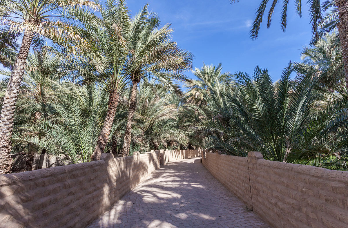 al-ain-oasis-walking-paths_1766409153.jpg