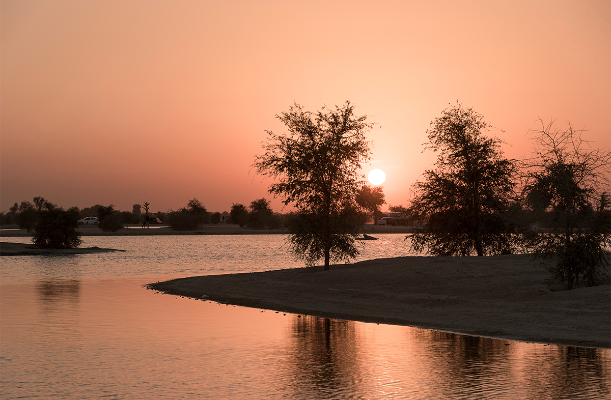 Al Qudra Desert Sunset Views.jpg