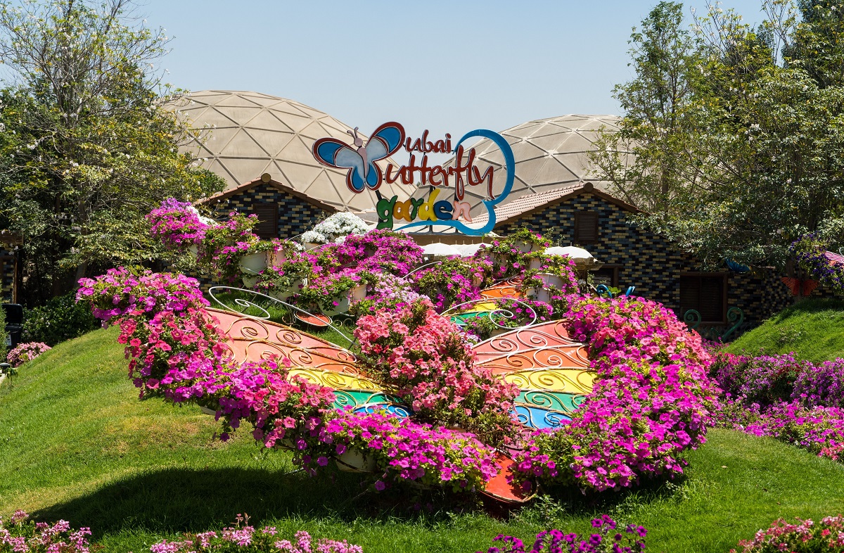 Butterfly Garden Dubai.jpg