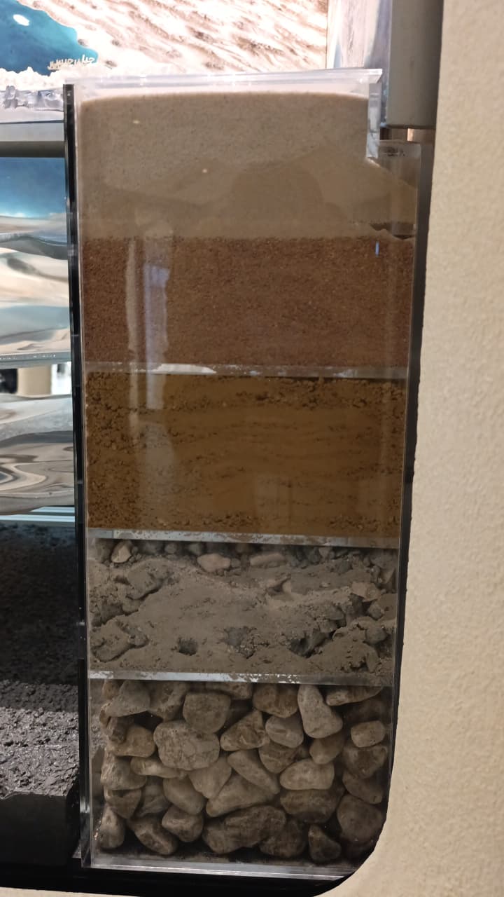 Display of traditional Emirati heritage items at Zayed National Museum.jpeg