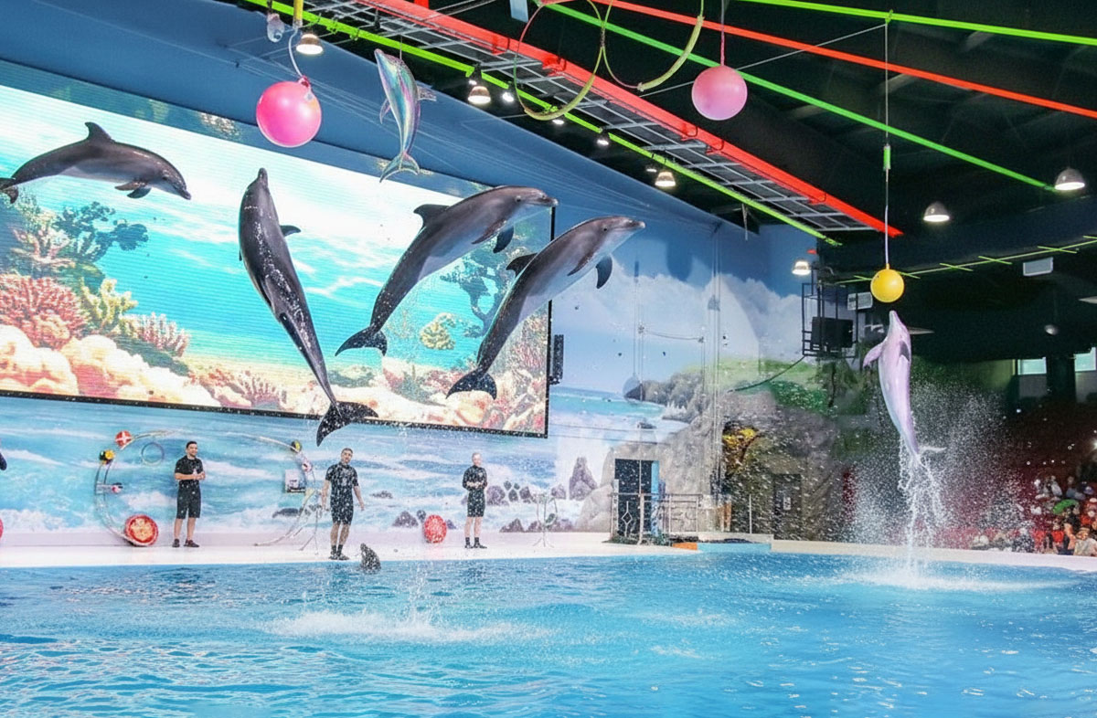 Dubai Dolphinarium.jpg