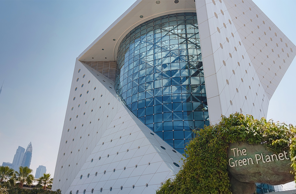 Dubai Indoor Rainforest.jpg