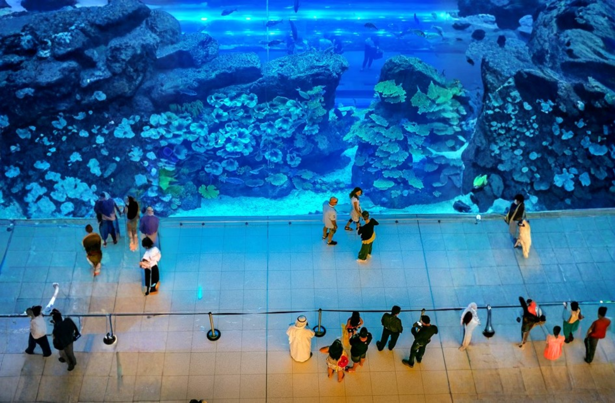 Dubai Mall Aquarium View.png