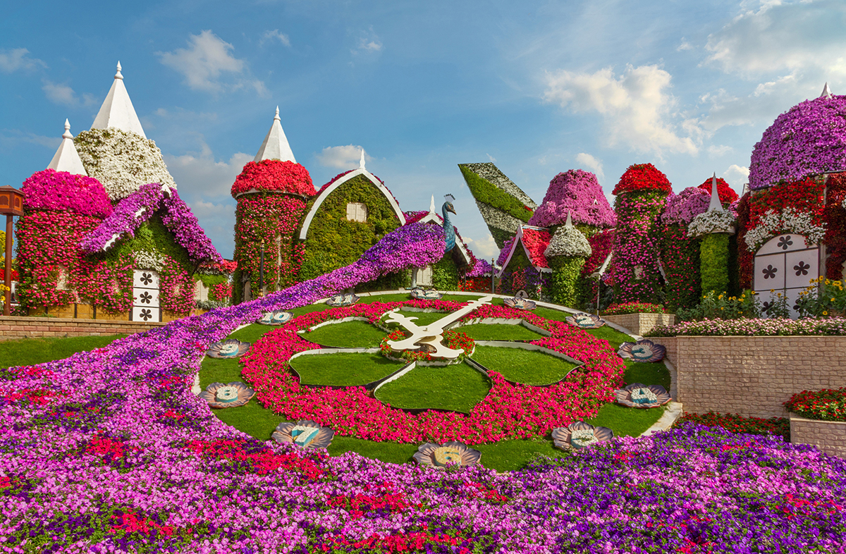 Miracle Garden Dubai