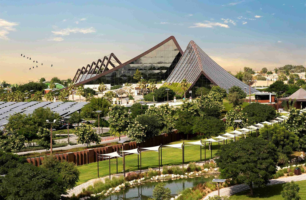 Dubai Safari Park Green Landscape.jpg