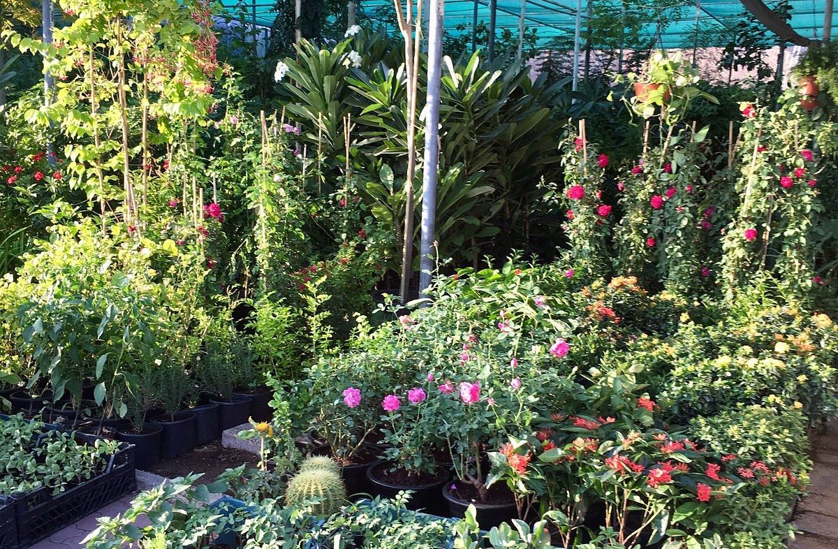 Friday Market Fujairah Souvenir Stalls.jpg