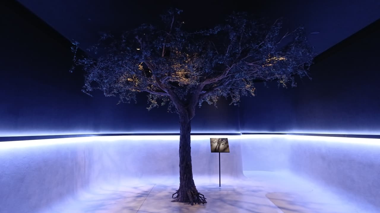 inside the Zayed National Museum.jpeg