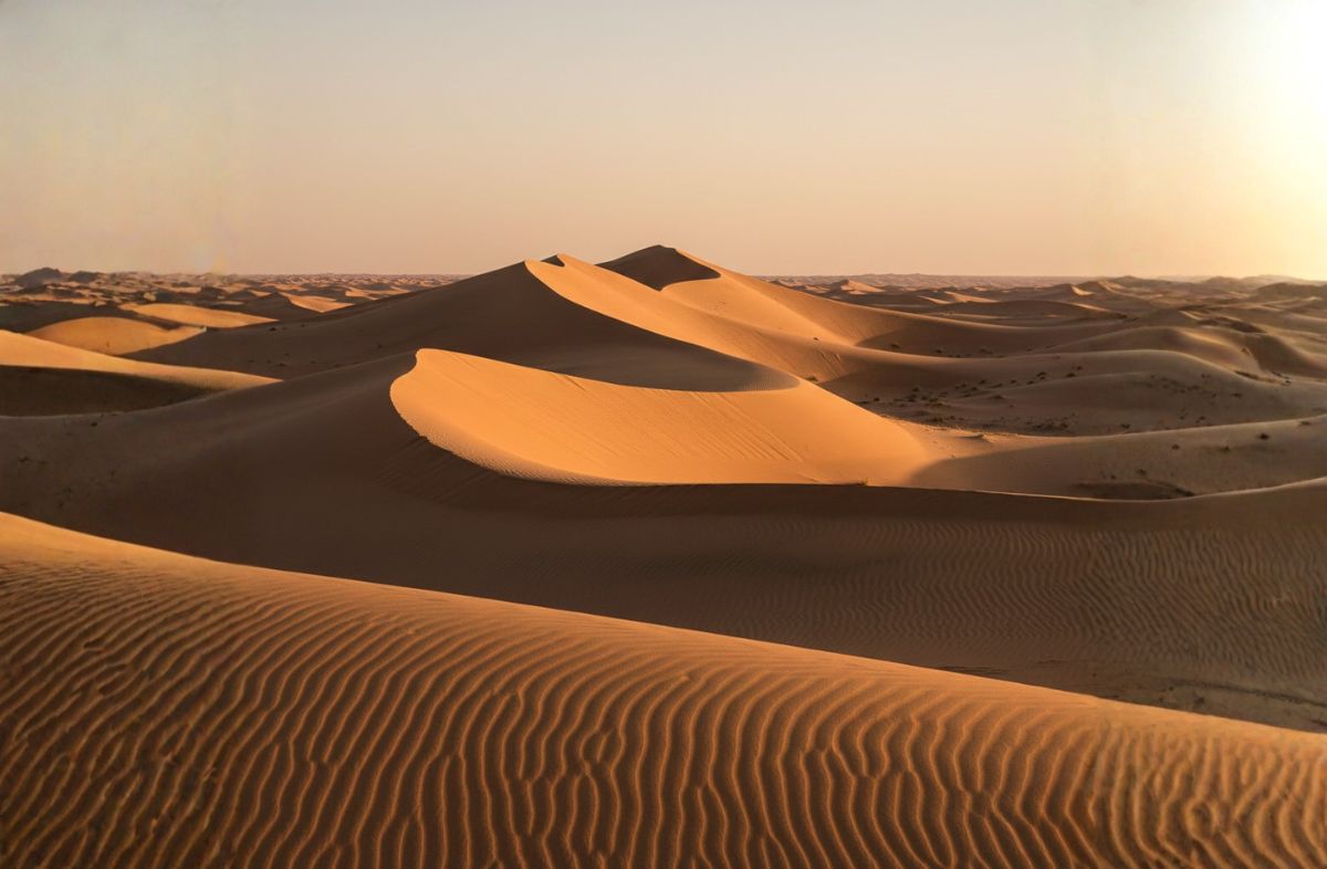 Liwa Oasis Desert View.jpg