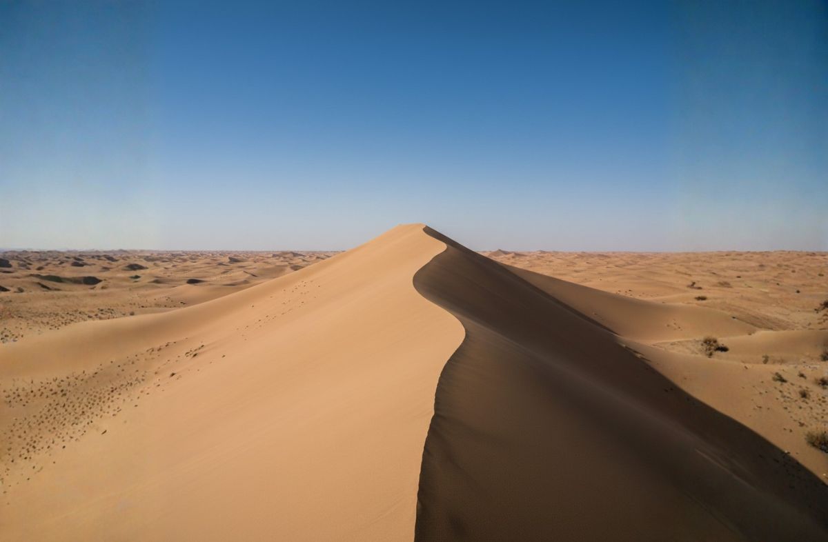 Liwa Oasis Sand Dunes.jpg