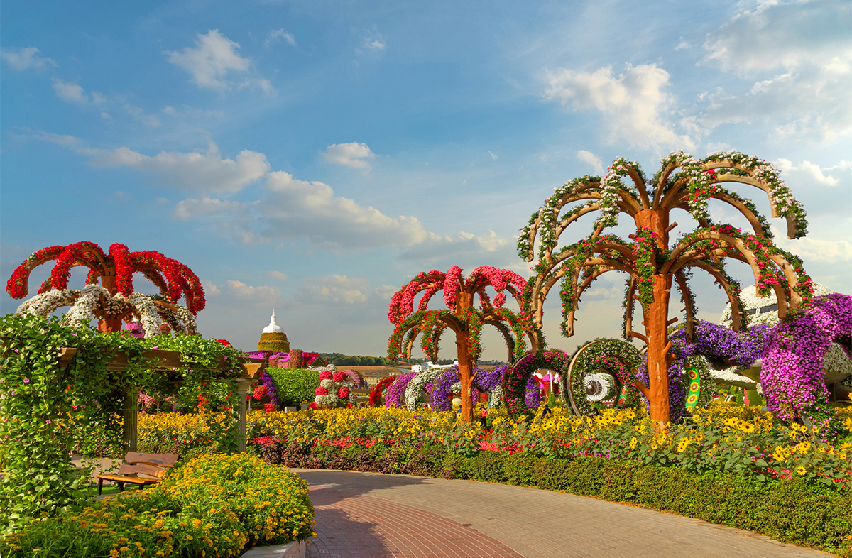 Miracle Garden Attractions.jpg