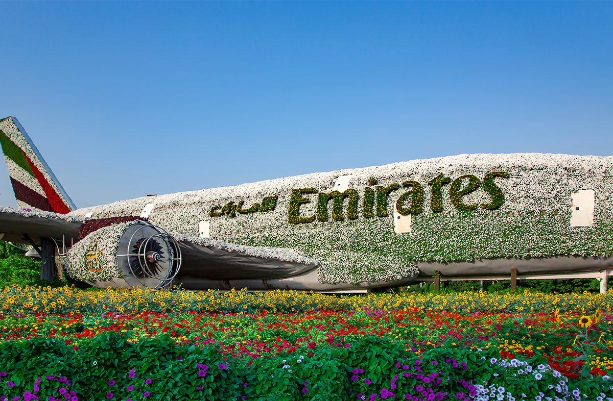 Miracle Garden In Dubai.jpg