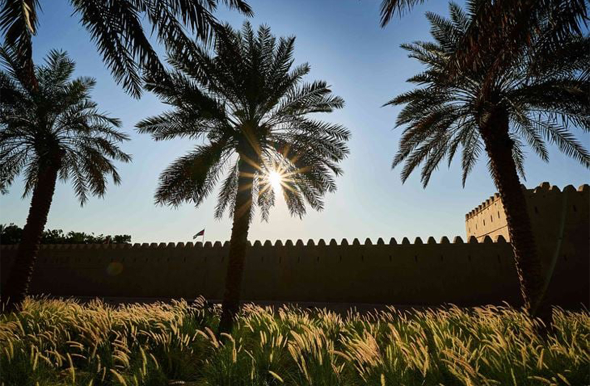 Qasr Al Muwaiji Palm Trees View.jpg