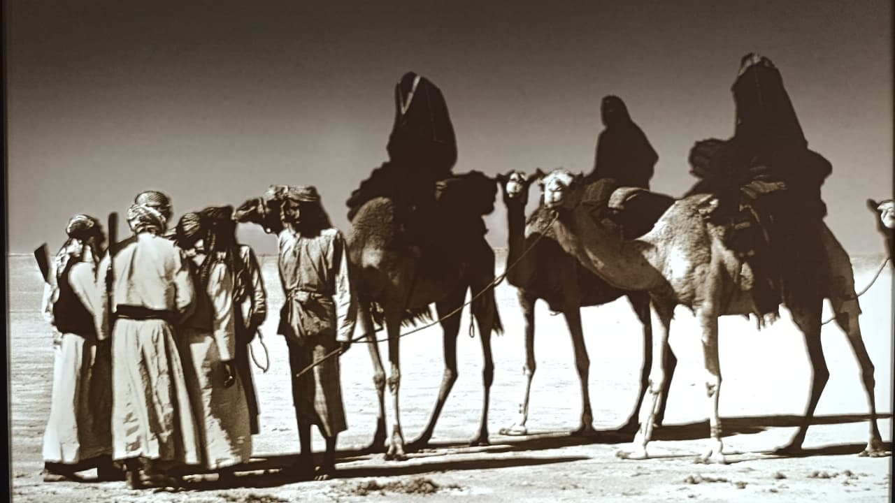 Zayed National Museum Abu Dhabi.jpeg