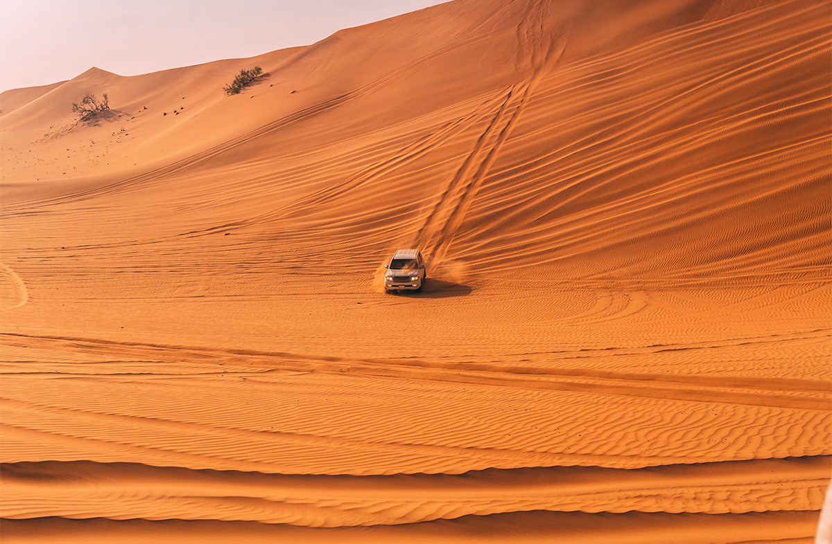 Desert Safari Tour In Abu Dhabi