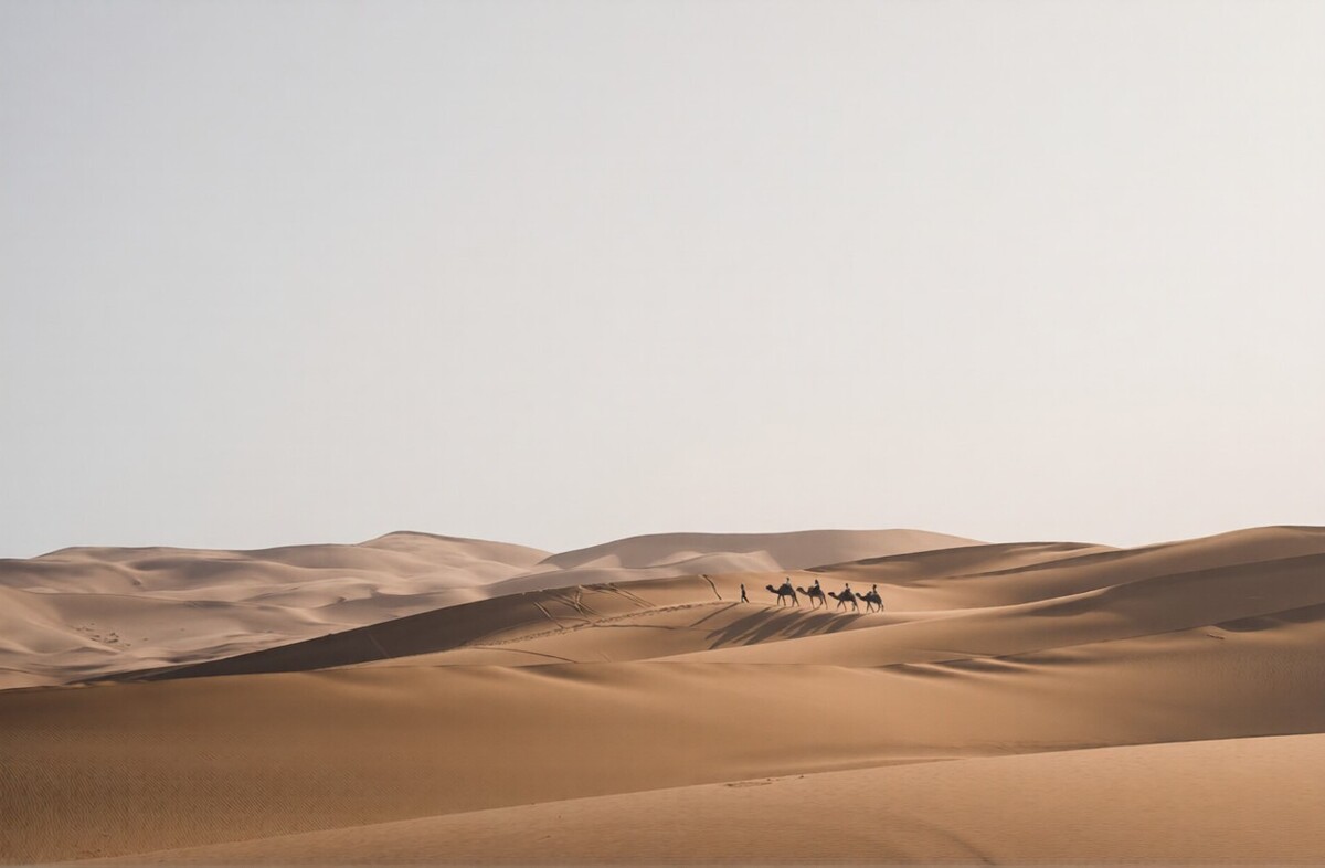 Camel Caravan Ras Al Khaimah