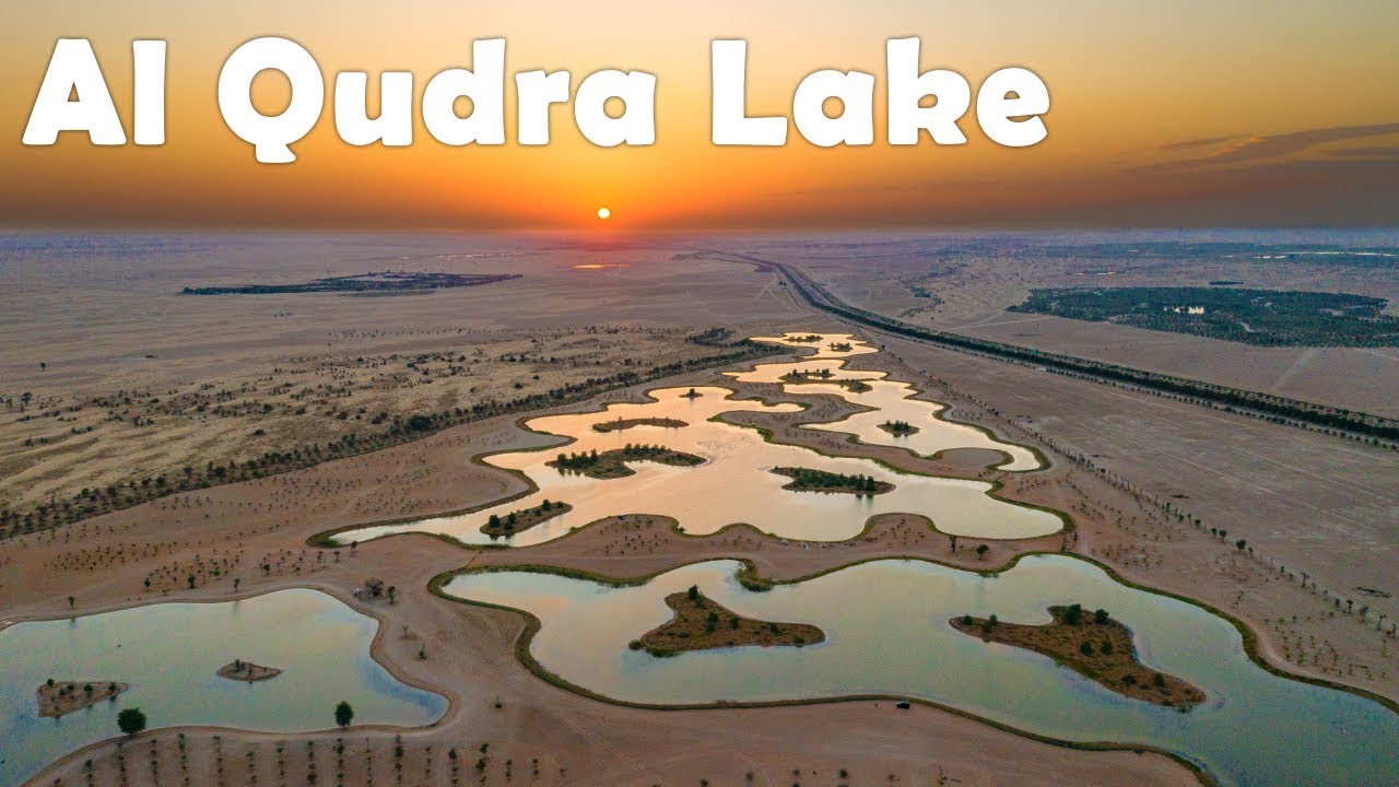Discover Al Qudra Lake Dubai’s Desert Oasis For Nature Lovers