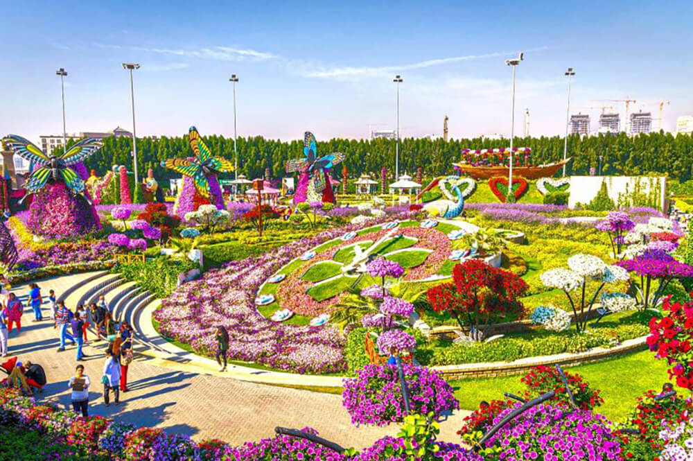 Dubai Butterfly Garden