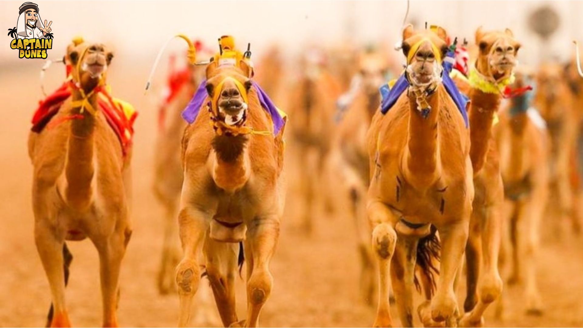 The Dubai Camel Racing Festival: A Celebration of Tradition and Culture